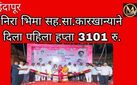 इंदापूर : निरा भिमा कारखान्याने दिला उसाला 3101रुपये उच्चांक भाव.