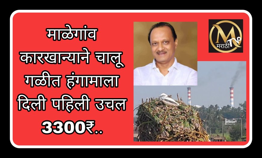 उपमुख्यमंत्री अजित पवार अध्यक्ष असलेल्या माळेगांव सहकारी साखर कारखान्याने चालू हंगामासाठी उसाला पहिली उचल दिली 3300 रुपये..