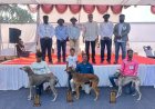 बारामतीतील प्रदर्शन शेतकऱ्यासाठी ज्ञानवर्धक तंत्रज्ञान आधारित आणि अनुभव समृद्ध ठरणारे शेतीच्या आधुनिक वाटचालीस दिशा देणारे कृषी प्रदर्शन