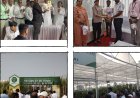 बारामतीतील कृषी प्रदर्शनात शेती पिकासह टॉय श्वानाची स्पर्धा पाहण्यासाठी मोठी गर्दी