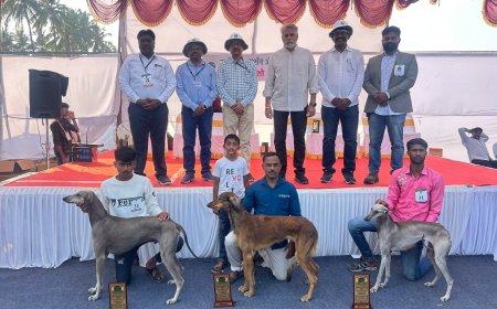 बारामतीतील प्रदर्शन शेतकऱ्यासाठी ज्ञानवर्धक तंत्रज्ञान आधारित आणि अनुभव समृद्ध ठरणारे शेतीच्या आधुनिक वाटचालीस दिशा देणारे कृषी प्रदर्शन