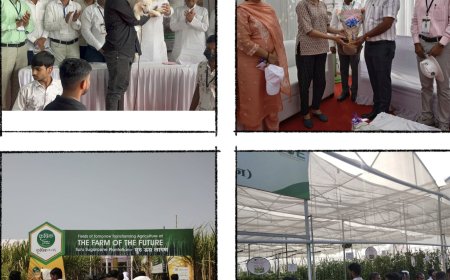 बारामतीतील कृषी प्रदर्शनात शेती पिकासह टॉय श्वानाची स्पर्धा पाहण्यासाठी मोठी गर्दी