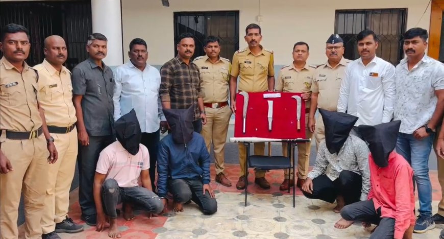 बारामती कुरकुंभ दौंड परिसर हादरवणाऱ्या गुन्हेगारी टोळीचा बारामती तालुका पोलिसांनी केला पर्दाफाश.