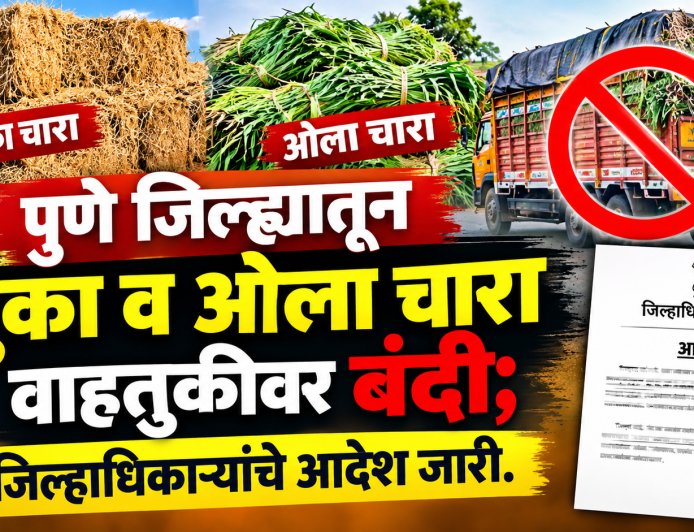 पुणे जिल्ह्यातून सुका व ओला चारा वाहतुकीवर बंदी; जिल्हाधिकाऱ्यांचे आदेश जारी..