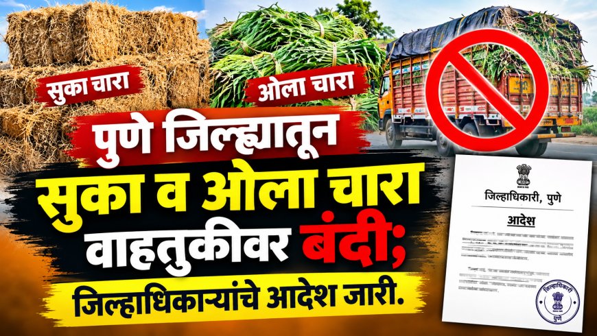 पुणे जिल्ह्यातून सुका व ओला चारा वाहतुकीवर बंदी; जिल्हाधिकाऱ्यांचे आदेश जारी..